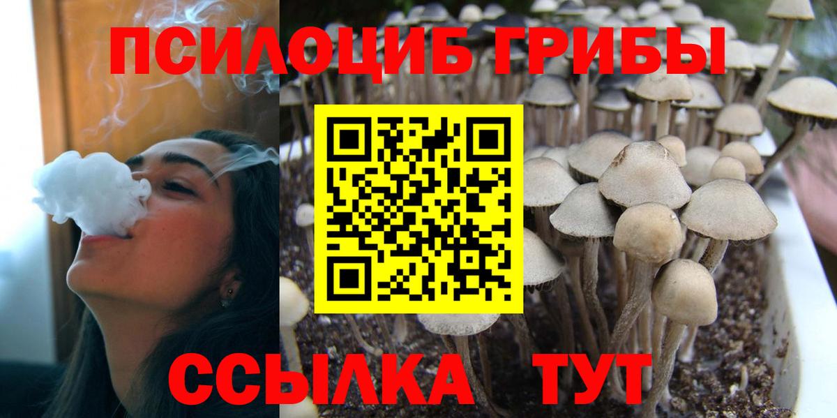 Галлюциногенные грибы мухоморы Новочеркасск